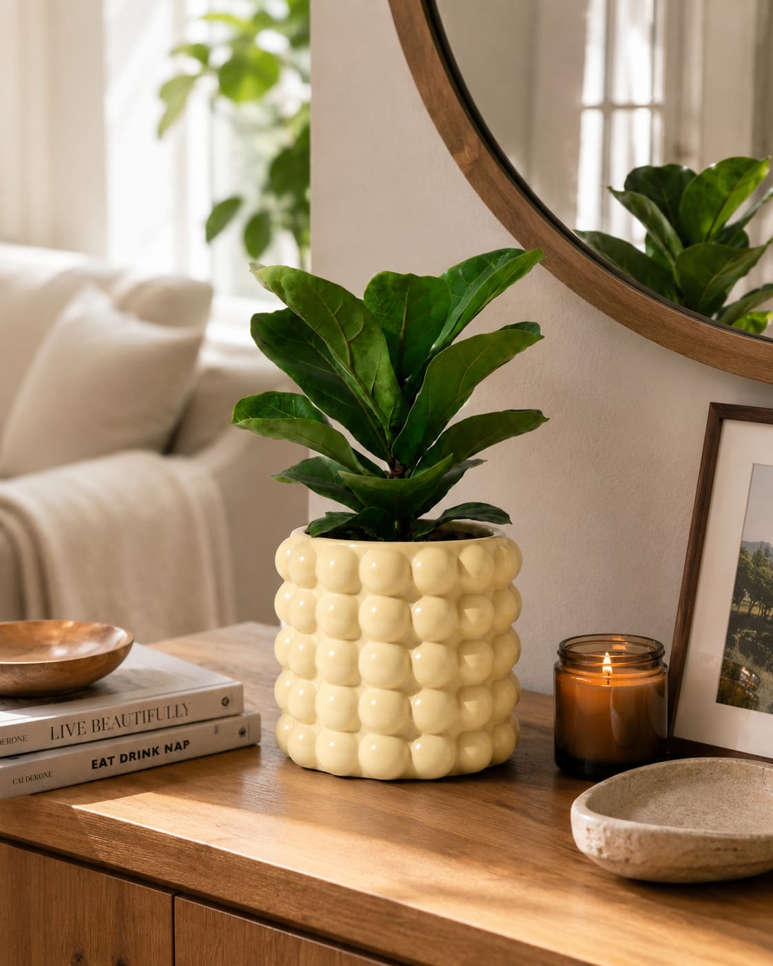 Bubble Ceramic Planter with Rubber Plant - Image 3