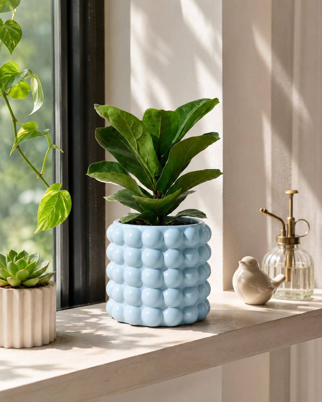 Bubble Ceramic Planter with Rubber Plant - Image 4