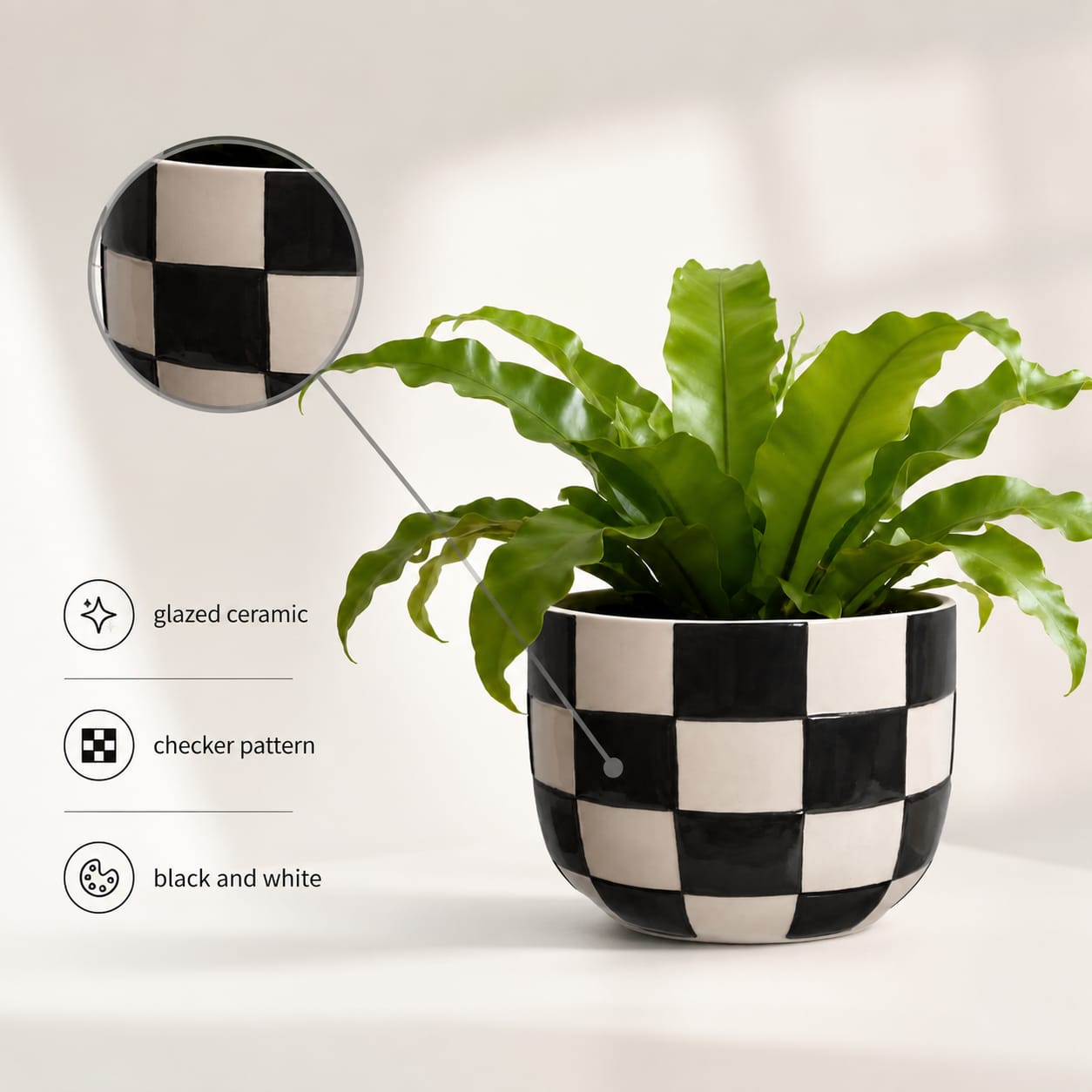 Checkered Ceramic Planter with Bird's Nest Fern - Image 2