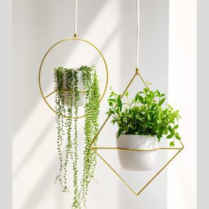 Set of 2 Hanging Metal Planters with String of Pearls & Peperomia Angulata