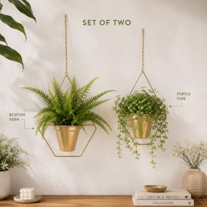 Set of 2 Gold Geometric Hanging Metal Planters with Live Boston Fern & Turtle Vine